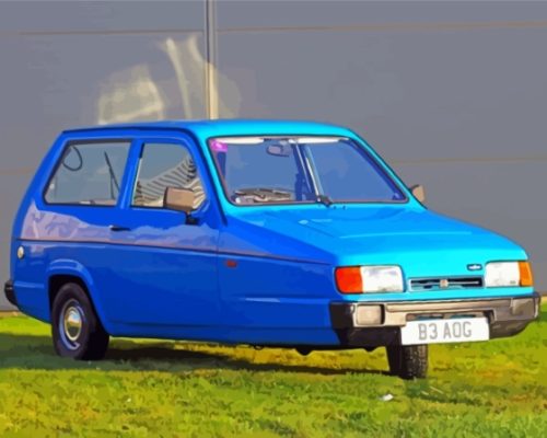 Blue Robin Reliant paint by number