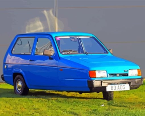 Blue Robin Reliant paint by number