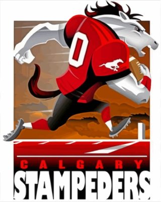 Calgary Stampeders Poster paint by number