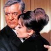 Cary Grant And Audrey Hepburn Charade Movie paint by number