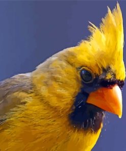 Close Up Yellow Cardinal paint by number