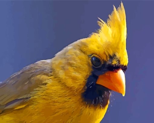 Close Up Yellow Cardinal paint by number