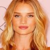 Close Up Beautiful Rosie Huntington Whiteley Paint by number