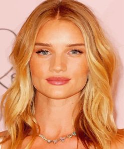 Close Up Beautiful Rosie Huntington Whiteley Paint by number