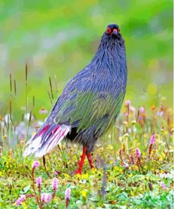 Close Up Blood Pheasant paint by number