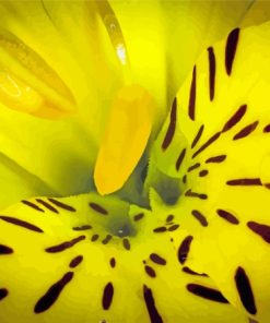 Close Up Yellow Alstroemeria With Rain Drops paint by number