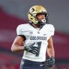 Colorado Buffaloes American Footballer paint by number