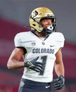 Colorado Buffaloes American Footballer paint by number