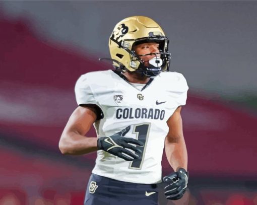 Colorado Buffaloes American Footballer paint by number