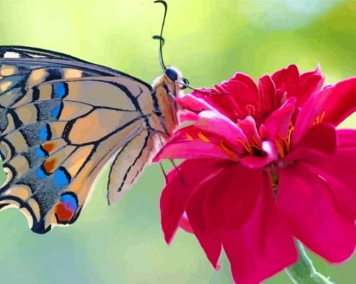 Colorful Butterfly On Pink Flower paint by number