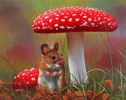 Field Mouse With Mushrooms Art paint by number