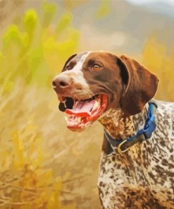 German Shorthair Dog paint by number