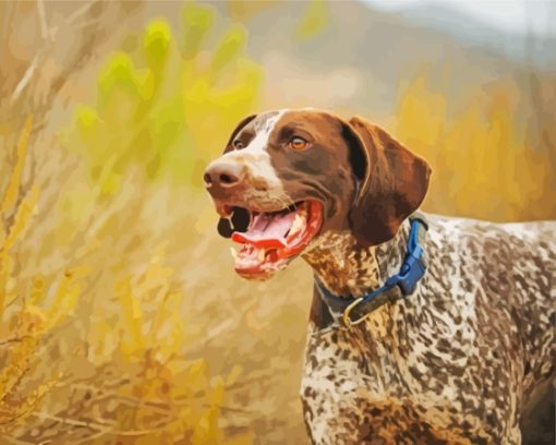 German Shorthair Dog paint by number