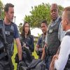 Hawaii Five 0 paint by number