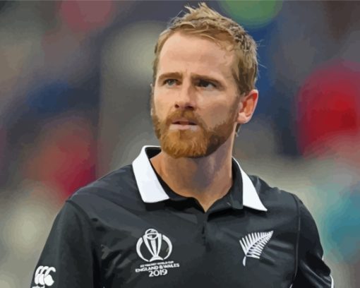 Kane Williamson Paint by number