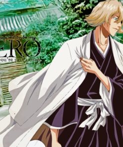 Kisuke Urahara paint by number