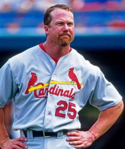 Mark Mcgwire paint by number