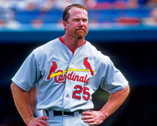 Mark Mcgwire paint by number