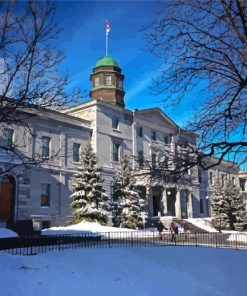 McGill University In Snow paint by number