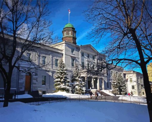 McGill University In Snow paint by number