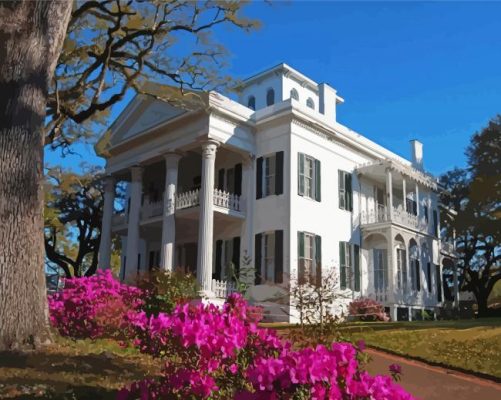 Natchez Stanton Hall Paint by number