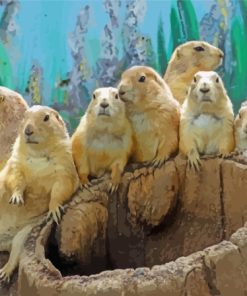 Prairie Dogs Animals paint by number