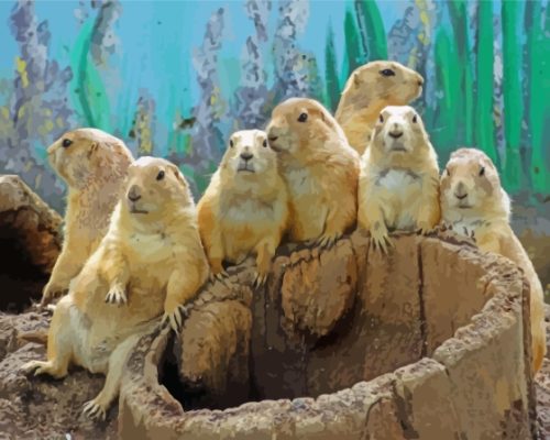 Prairie Dogs Animals paint by number