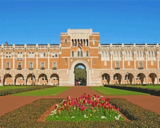 Rice University Houston Paint by number