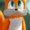 Tails The Hedgehog Paint by number