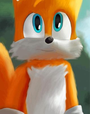 Tails The Hedgehog Paint by number