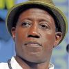 Wesley Snipes Paint by number