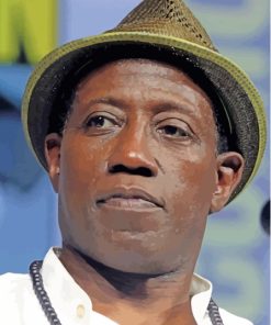 Wesley Snipes Paint by number