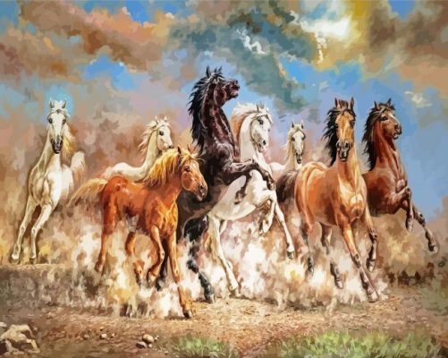 Wild 8 Horses paint by number