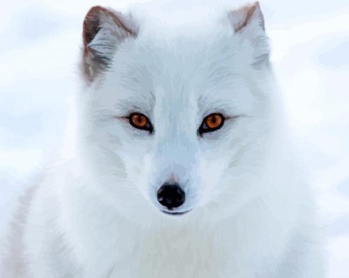 Aesthetic Polar Fox Art Paint by number