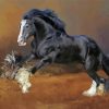 Black Gypsy Vanner Horse paint by number