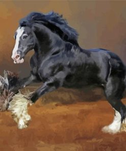 Black Gypsy Vanner Horse paint by number