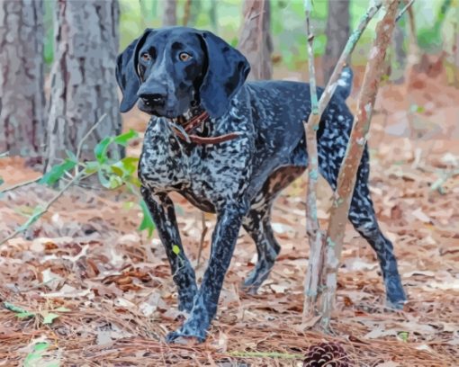 Black Pointing Dog In Forest paint by number