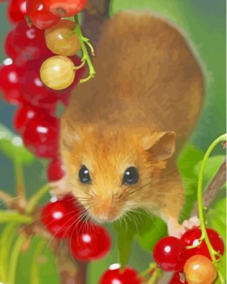 Dormouse paint by number