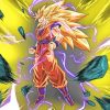 Dragon Ball Z Super Saiyan 3 Powerful paint by number