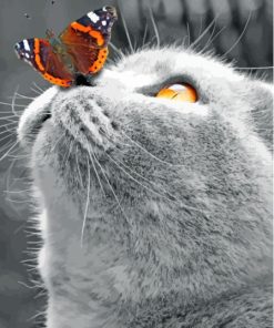 Monochrome Cat With Butterfly On Nose paint by number