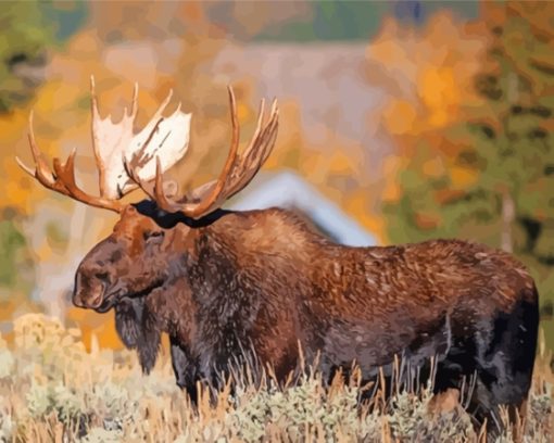 Moose Wildlife paint by number