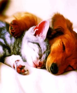 Sleeping Brown Dog And Grey Cat paint by number