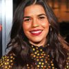 America Ferrera Paint by number