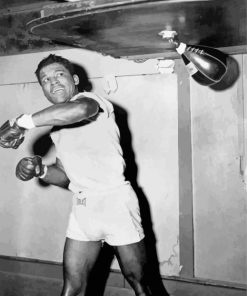 American Boxer Sugar Ray Robinson Black And White paint by number