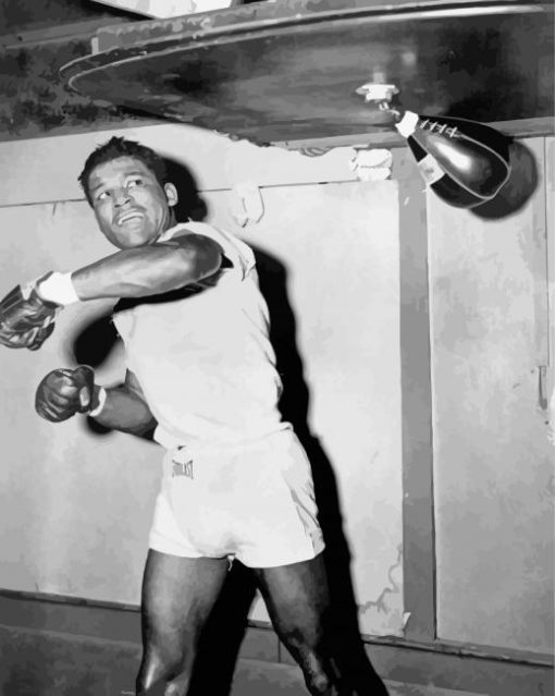 American Boxer Sugar Ray Robinson Black And White paint by number