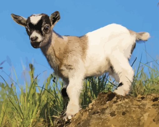 Baby Goat Paint by number