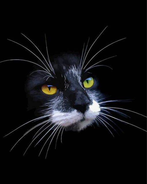 Black Cat With White Whiskers paint by number