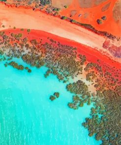 Broome Beach Overhead View paint by number