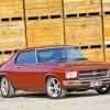 Brown 1972 Holden Monaro Car paint by number