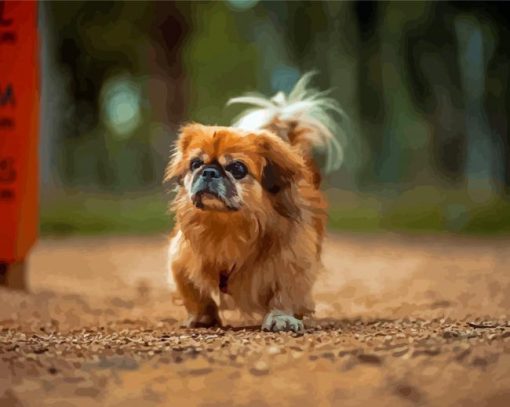 Brown Pekingese Dog paint by number